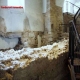 Ruderi Casa Romana